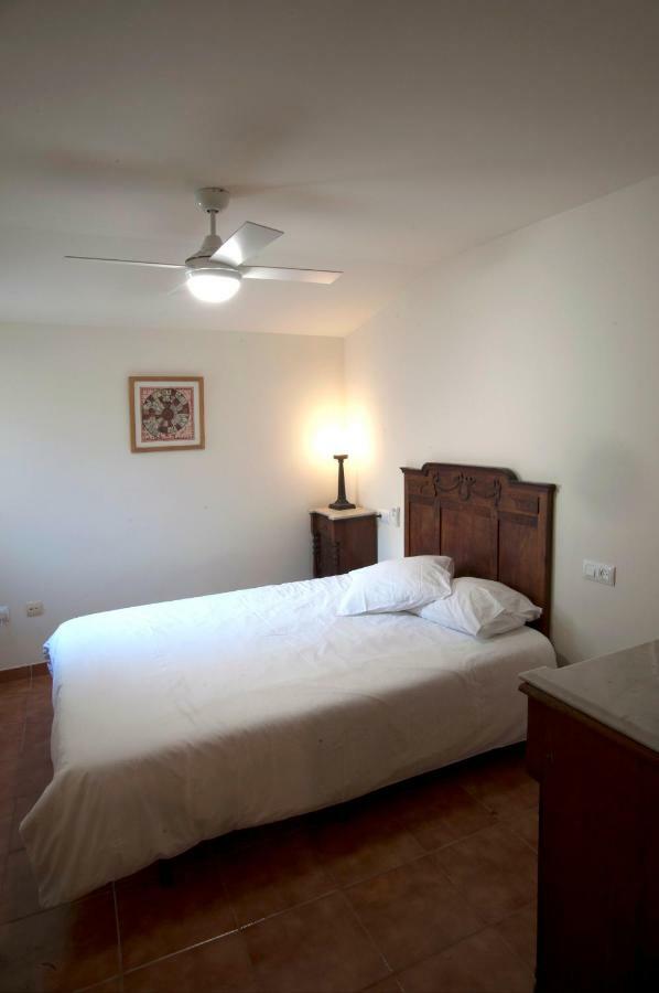 Atico Del Holandes Appartement Balaguer Buitenkant foto